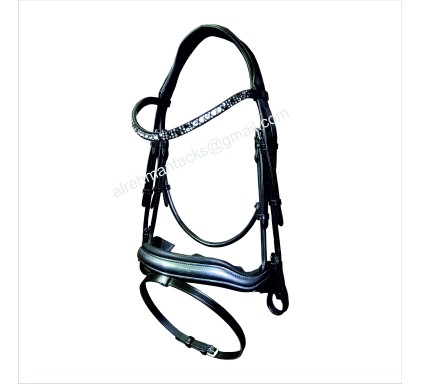 Leather Bridle 